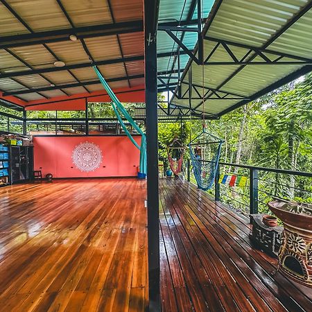 까위따 Selva Madre Eco-Sanctuary 아파트 호텔 외부 사진
