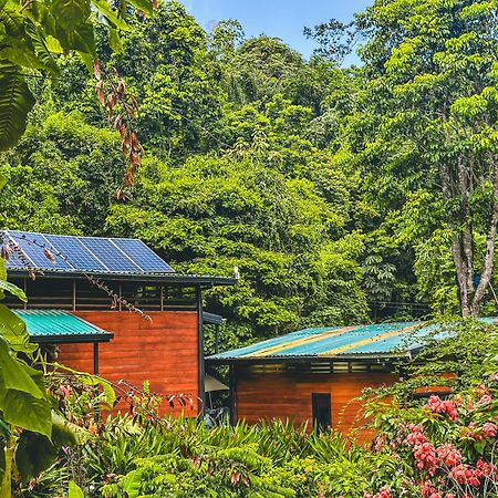 까위따 Selva Madre Eco-Sanctuary 아파트 호텔 외부 사진