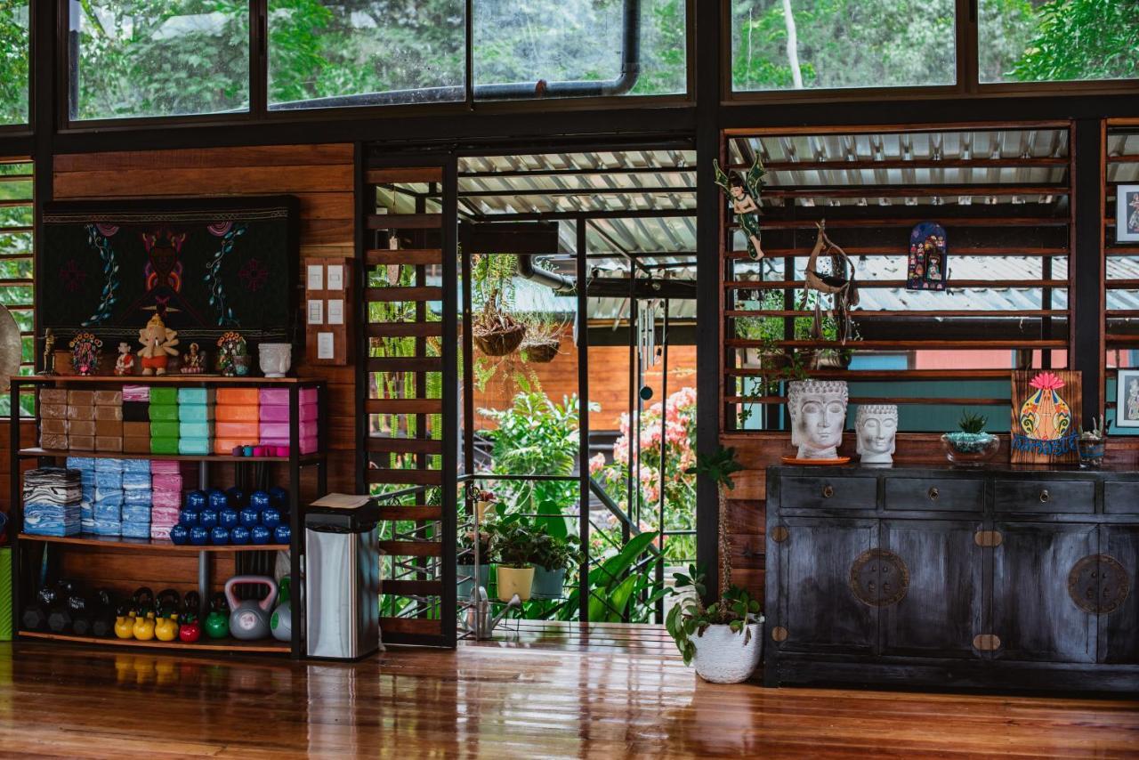 까위따 Selva Madre Eco-Sanctuary 아파트 호텔 외부 사진