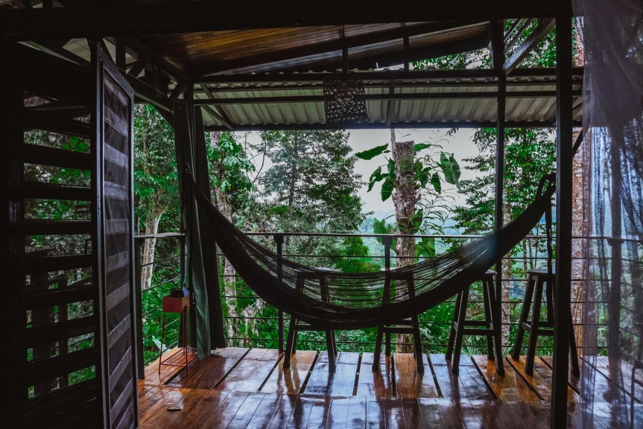 까위따 Selva Madre Eco-Sanctuary 아파트 호텔 외부 사진