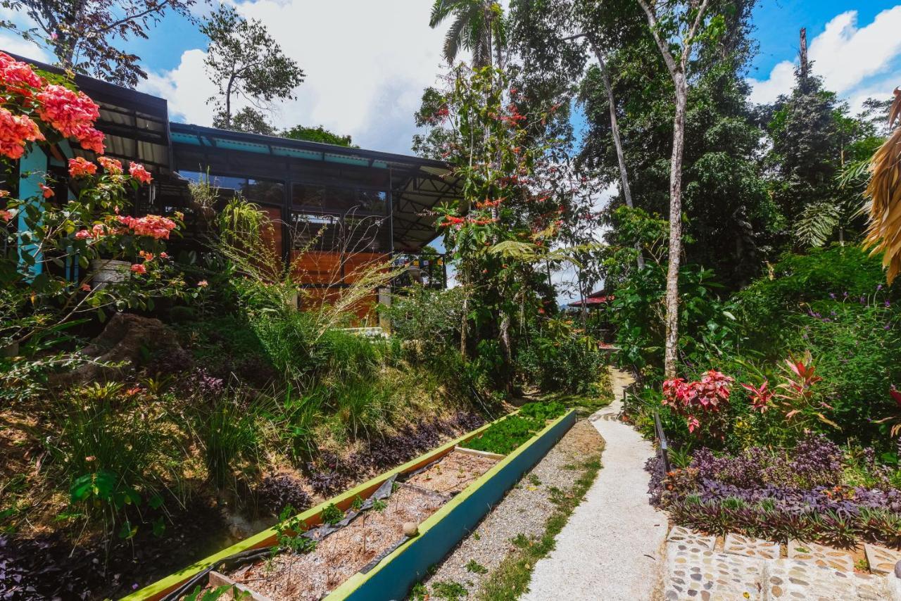 까위따 Selva Madre Eco-Sanctuary 아파트 호텔 외부 사진