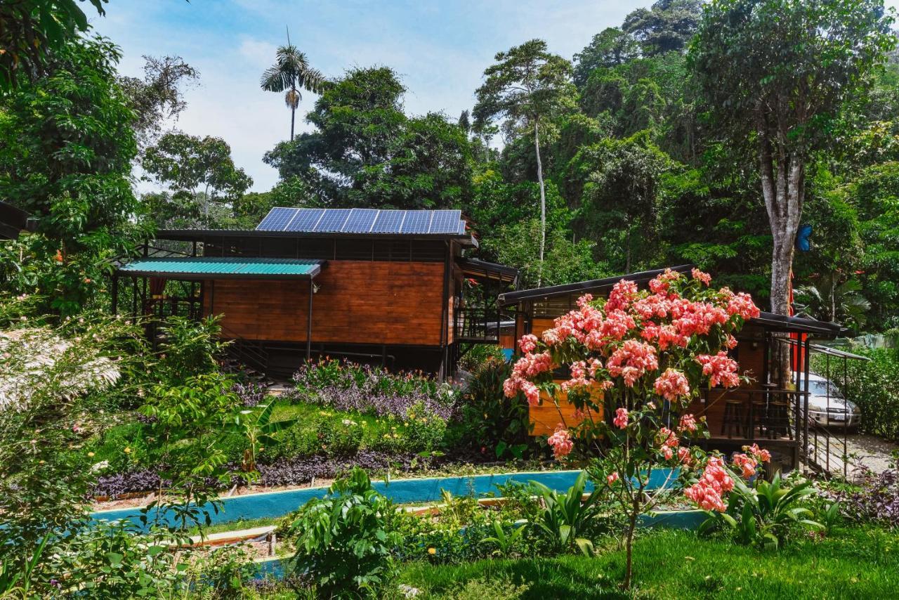 까위따 Selva Madre Eco-Sanctuary 아파트 호텔 외부 사진