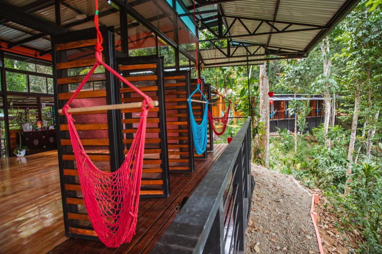 까위따 Selva Madre Eco-Sanctuary 아파트 호텔 외부 사진