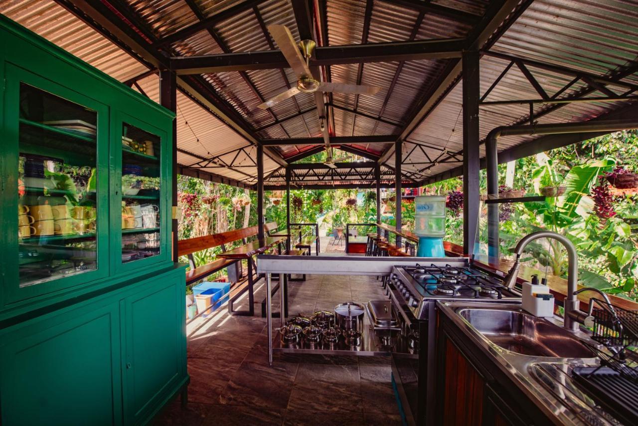 까위따 Selva Madre Eco-Sanctuary 아파트 호텔 외부 사진