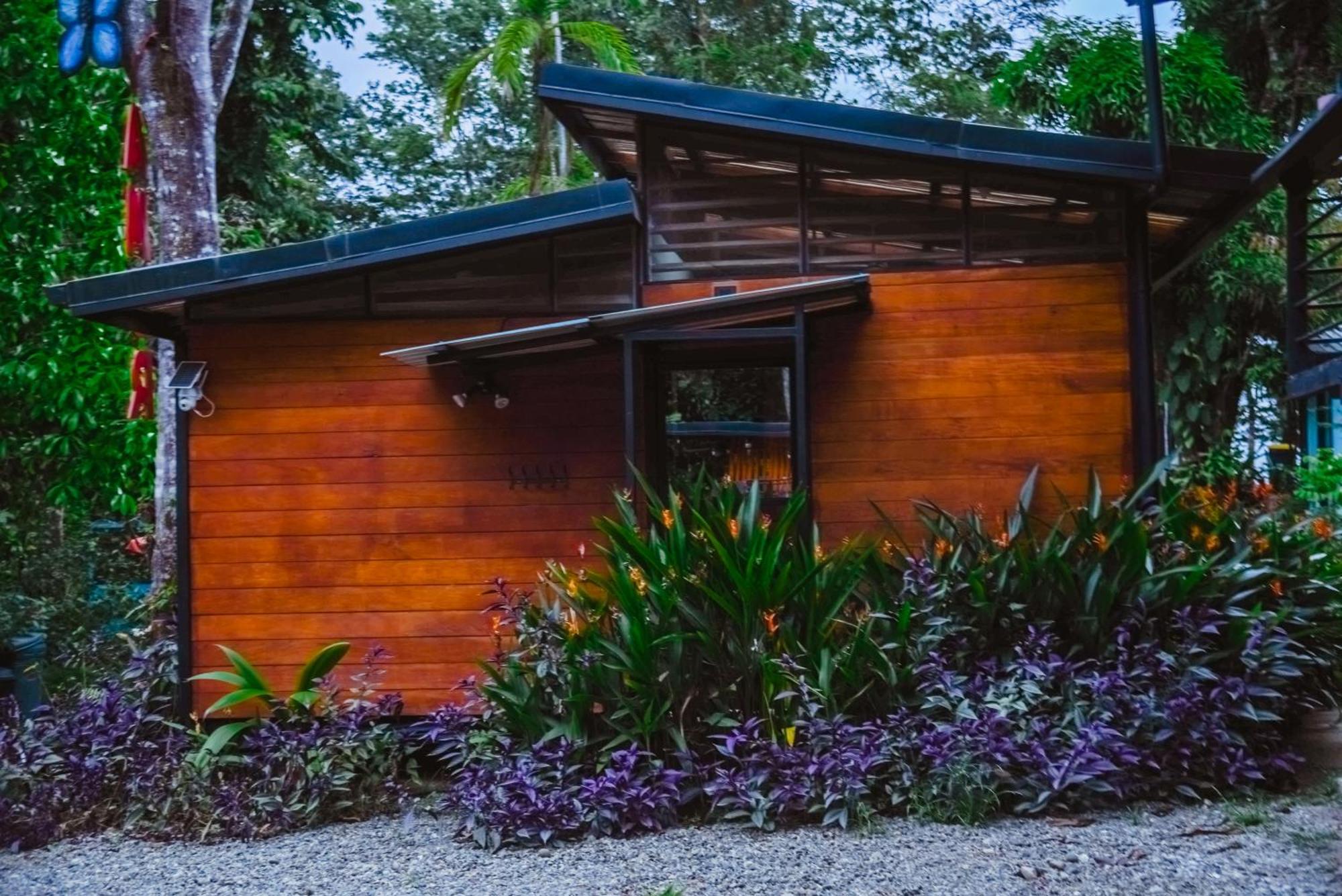 까위따 Selva Madre Eco-Sanctuary 아파트 호텔 외부 사진
