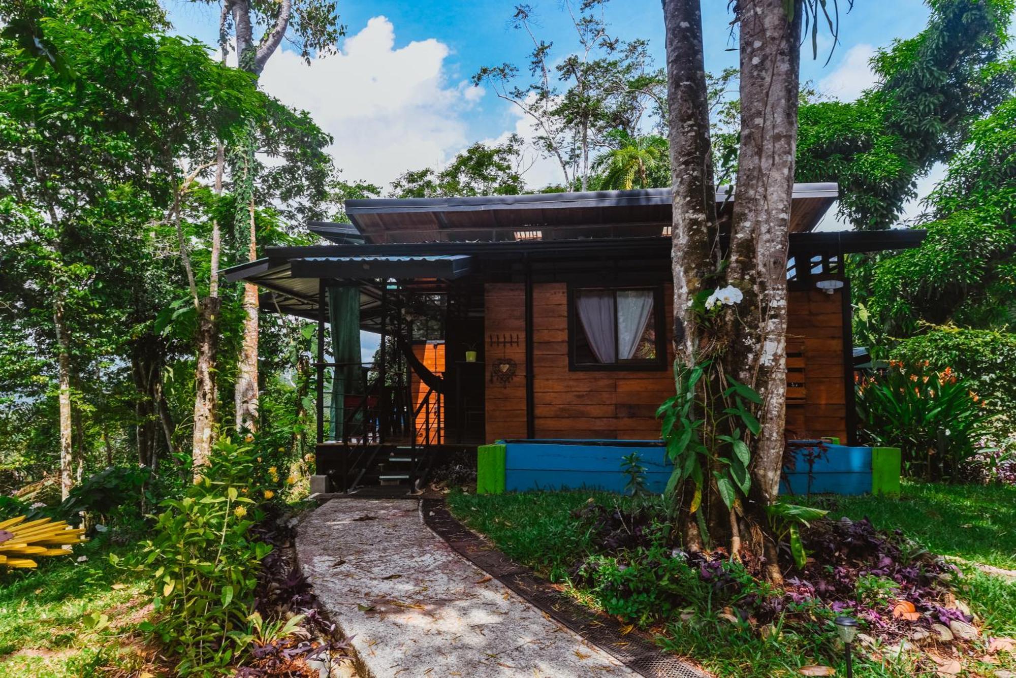 까위따 Selva Madre Eco-Sanctuary 아파트 호텔 외부 사진