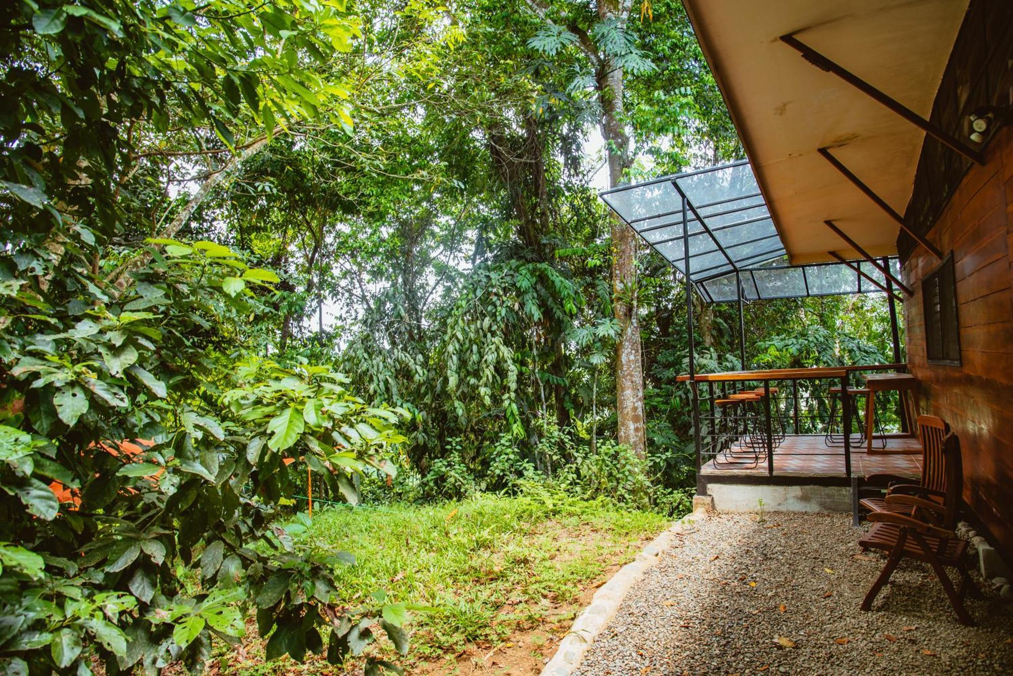 까위따 Selva Madre Eco-Sanctuary 아파트 호텔 외부 사진