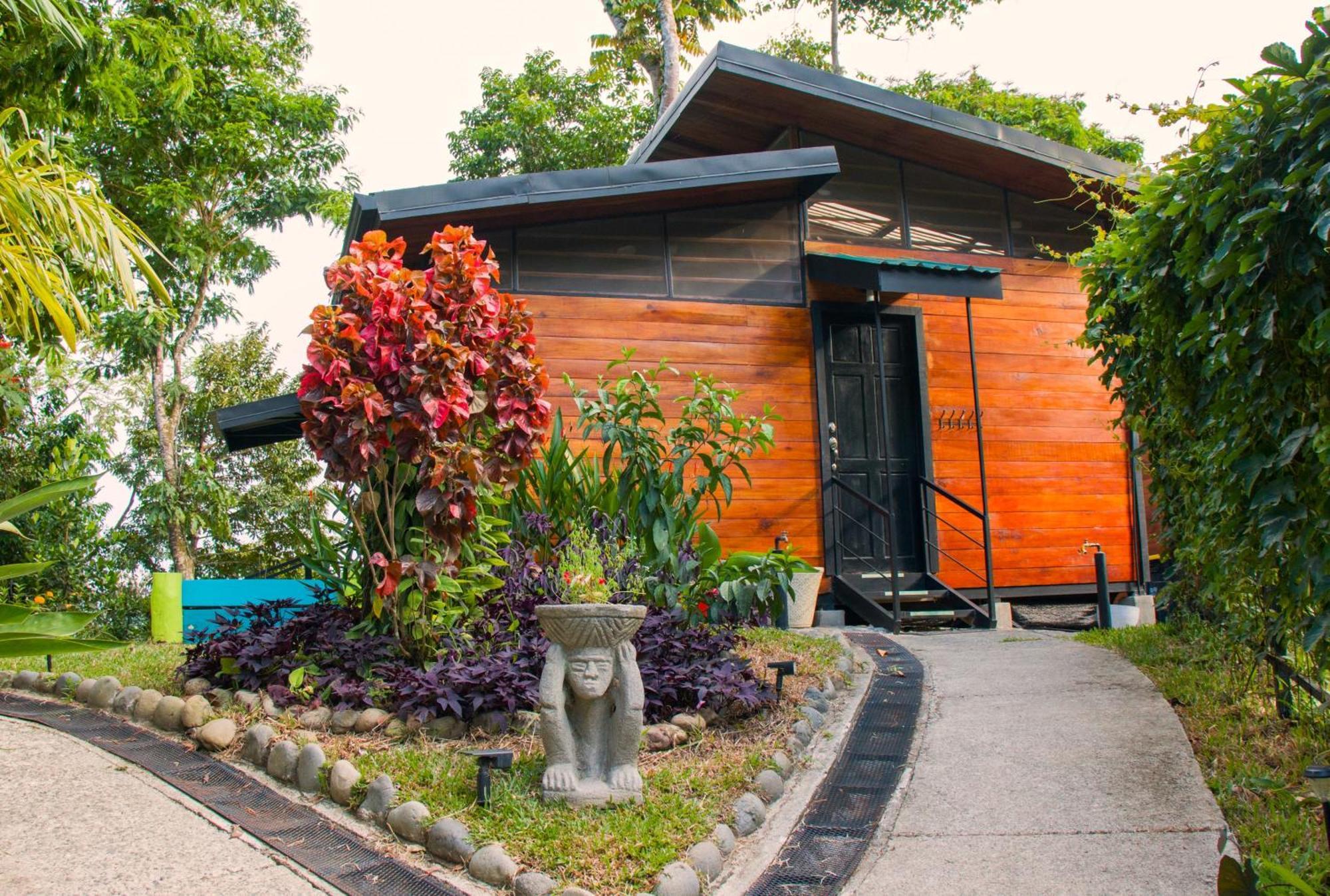 까위따 Selva Madre Eco-Sanctuary 아파트 호텔 외부 사진