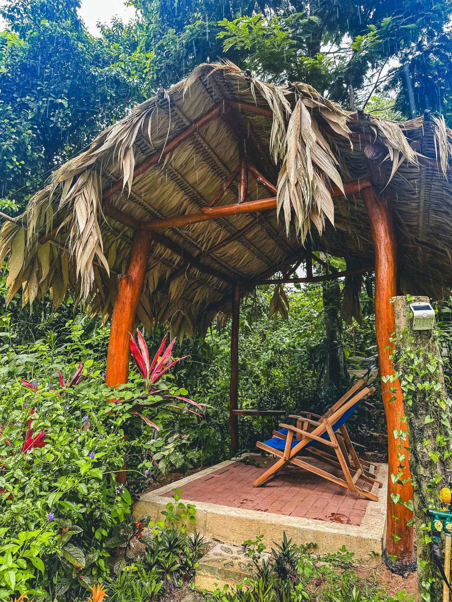 까위따 Selva Madre Eco-Sanctuary 아파트 호텔 외부 사진