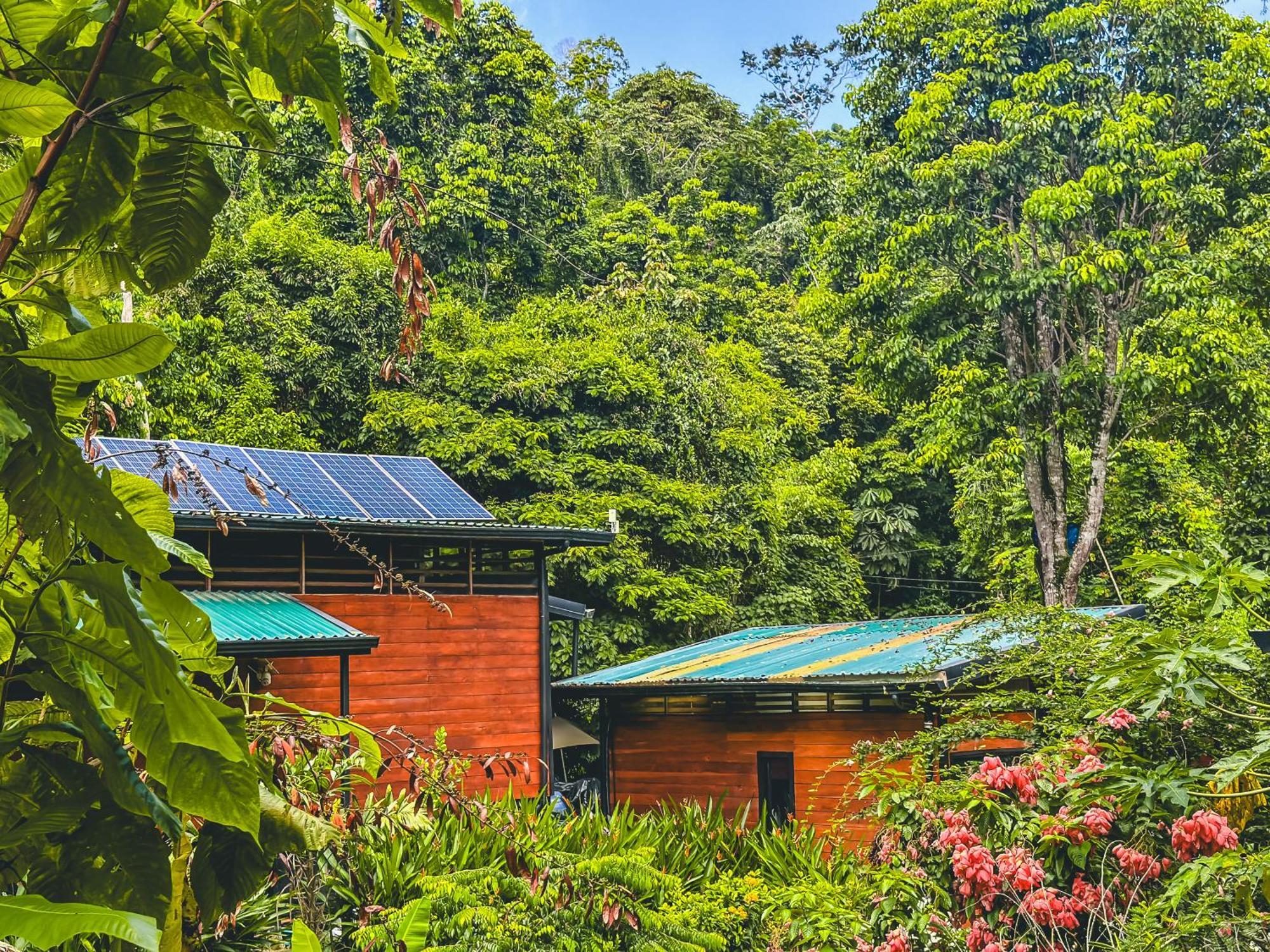 까위따 Selva Madre Eco-Sanctuary 아파트 호텔 외부 사진