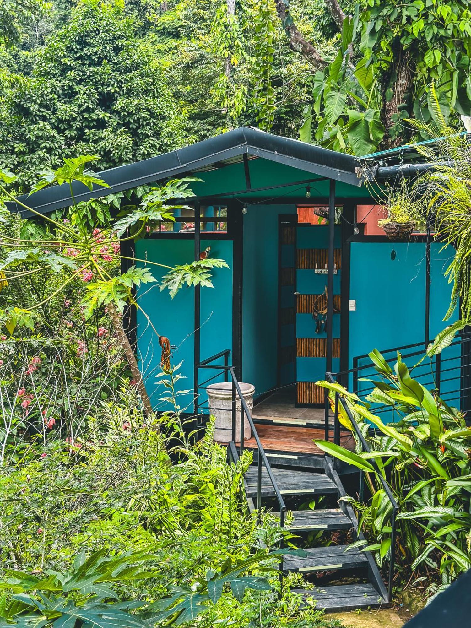 까위따 Selva Madre Eco-Sanctuary 아파트 호텔 외부 사진