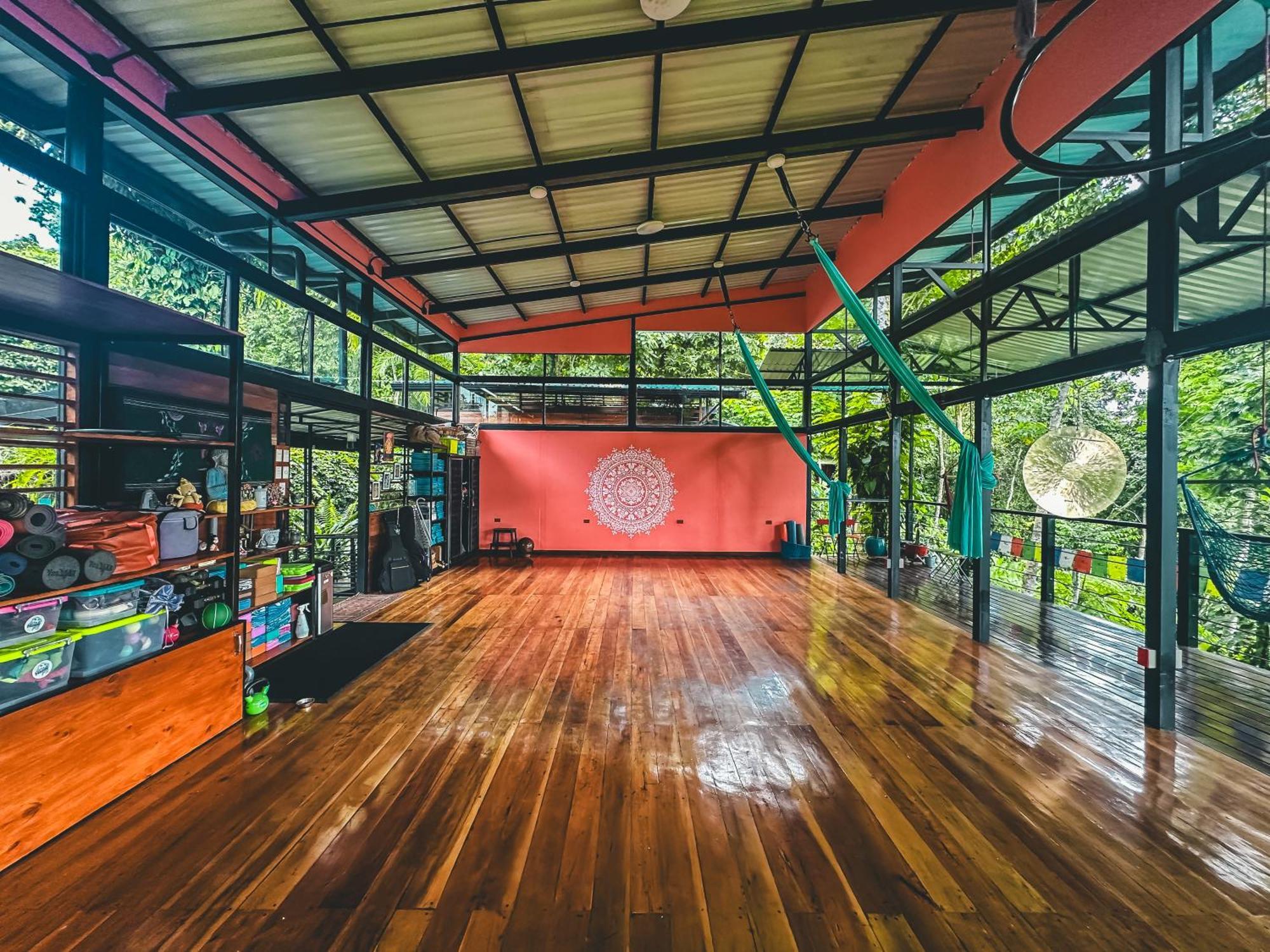 까위따 Selva Madre Eco-Sanctuary 아파트 호텔 외부 사진