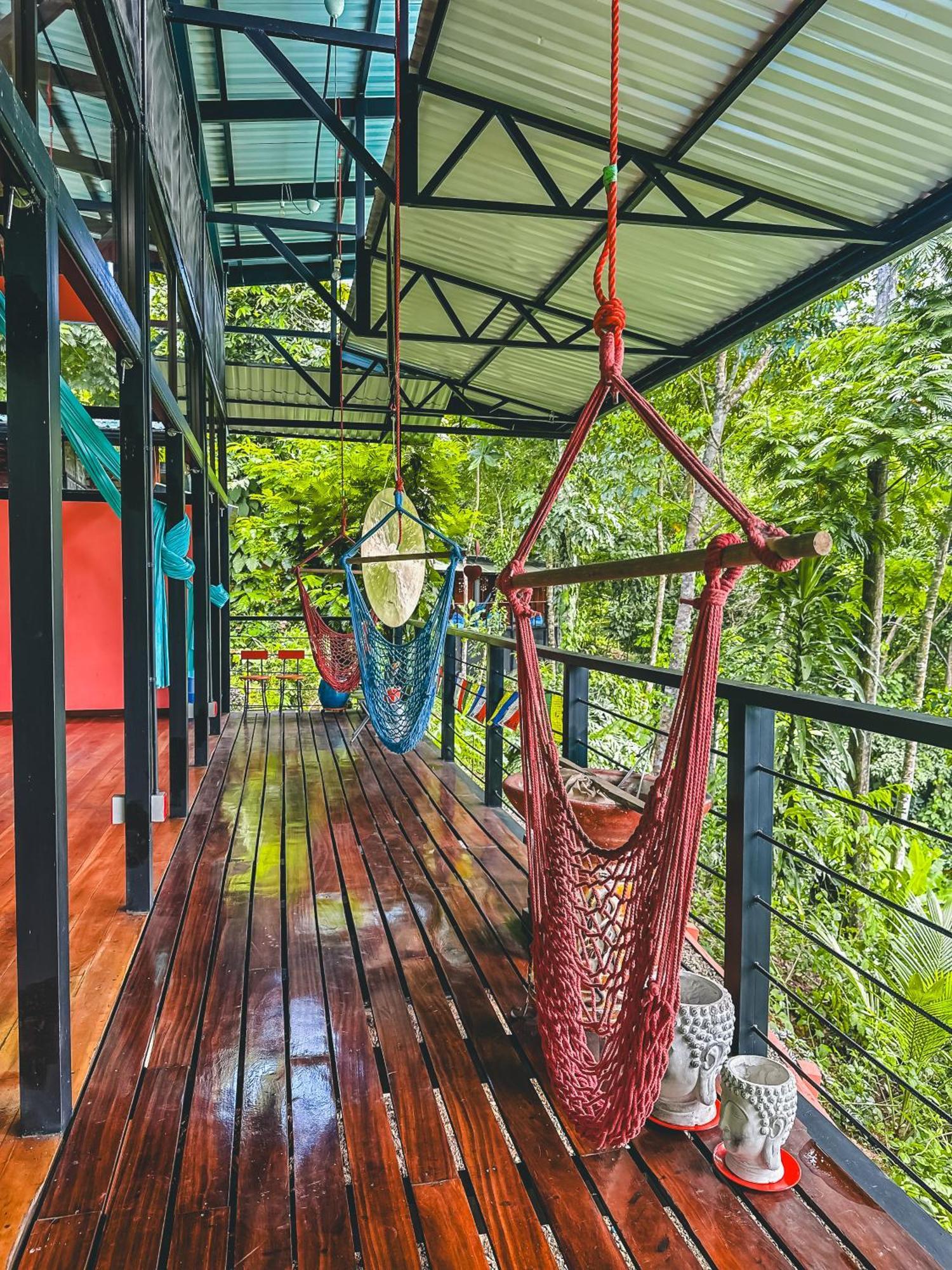 까위따 Selva Madre Eco-Sanctuary 아파트 호텔 외부 사진