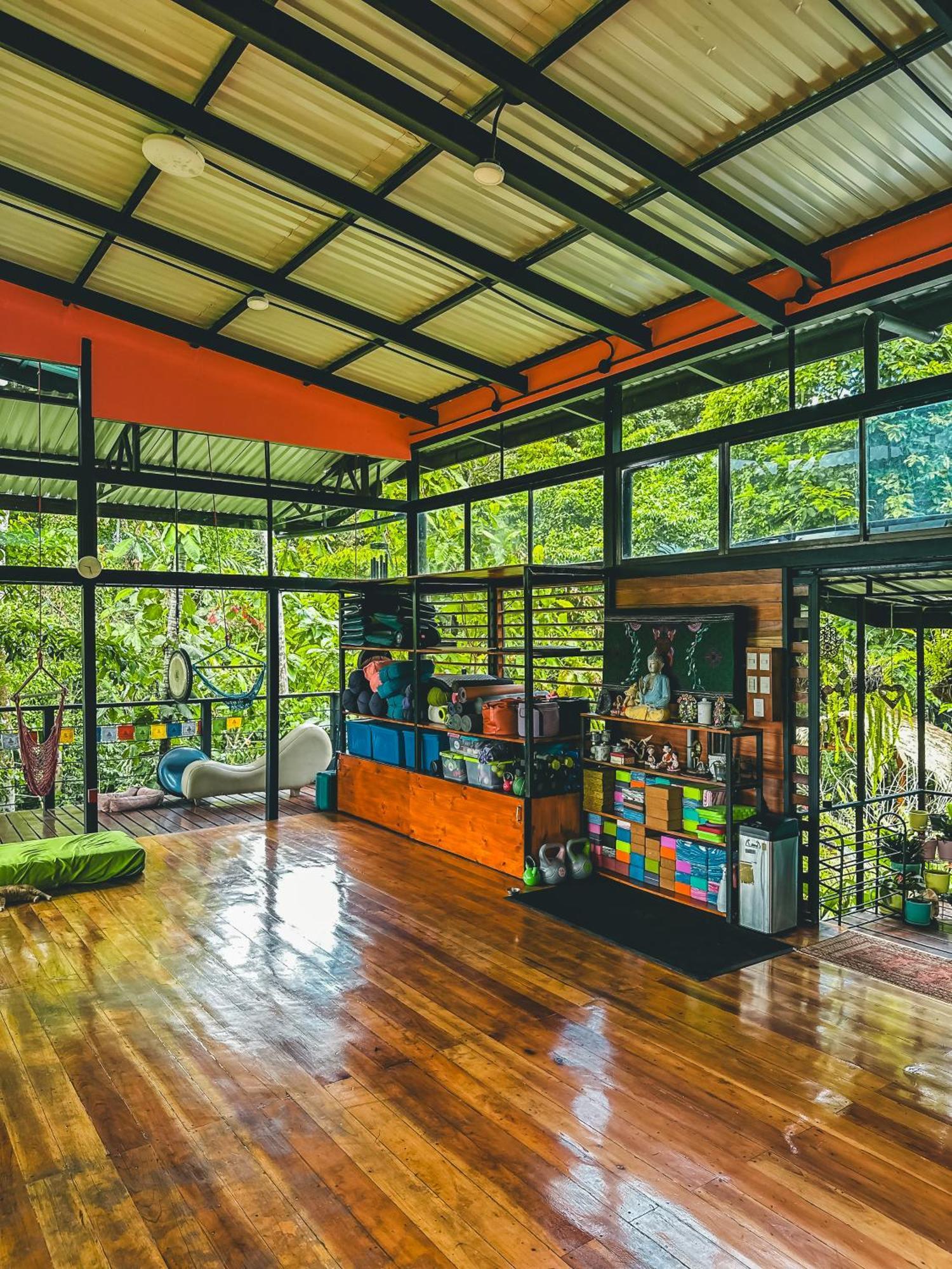 까위따 Selva Madre Eco-Sanctuary 아파트 호텔 외부 사진
