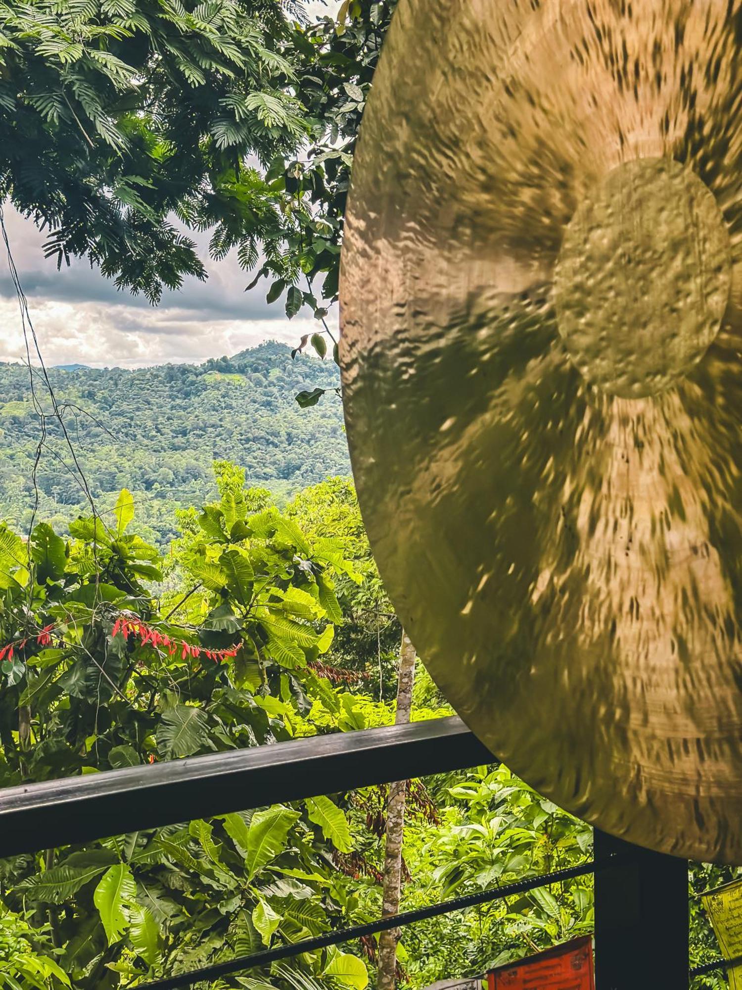 까위따 Selva Madre Eco-Sanctuary 아파트 호텔 외부 사진