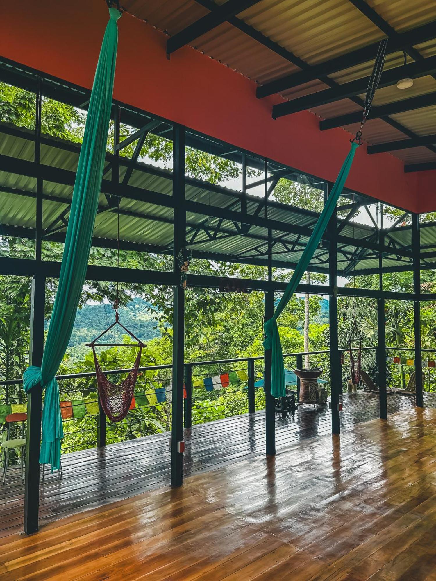 까위따 Selva Madre Eco-Sanctuary 아파트 호텔 외부 사진