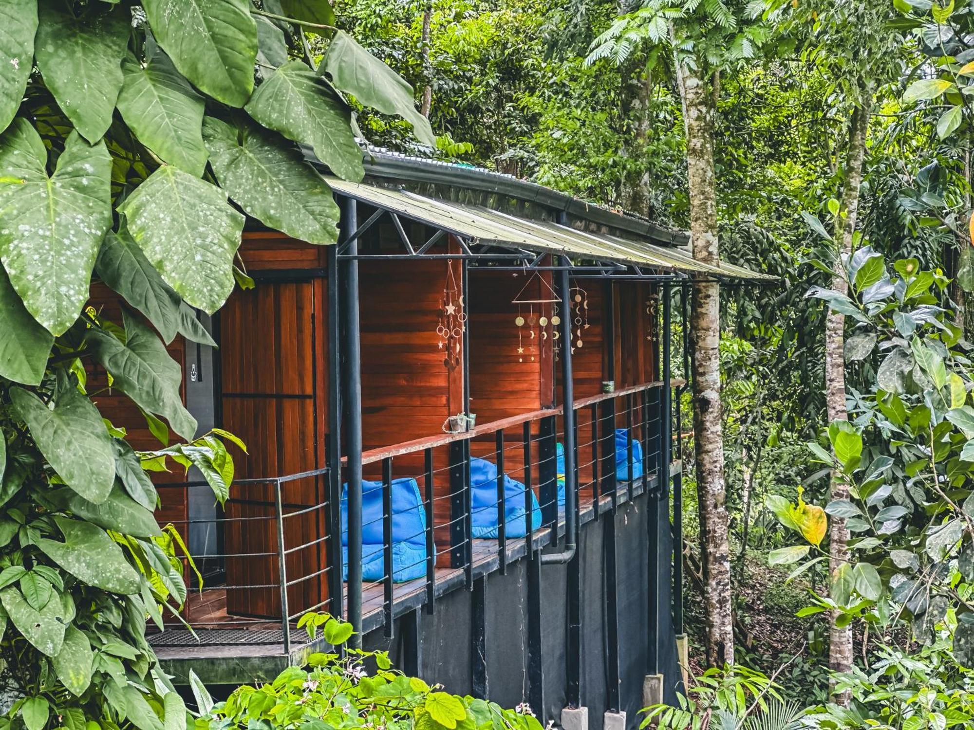 까위따 Selva Madre Eco-Sanctuary 아파트 호텔 외부 사진