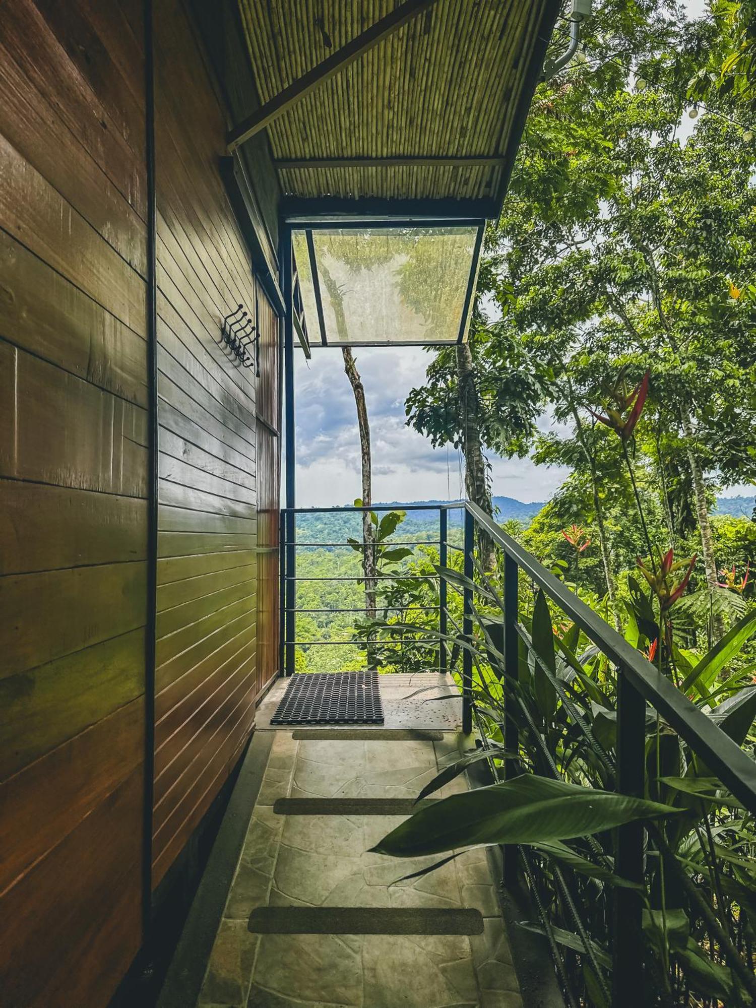 까위따 Selva Madre Eco-Sanctuary 아파트 호텔 외부 사진