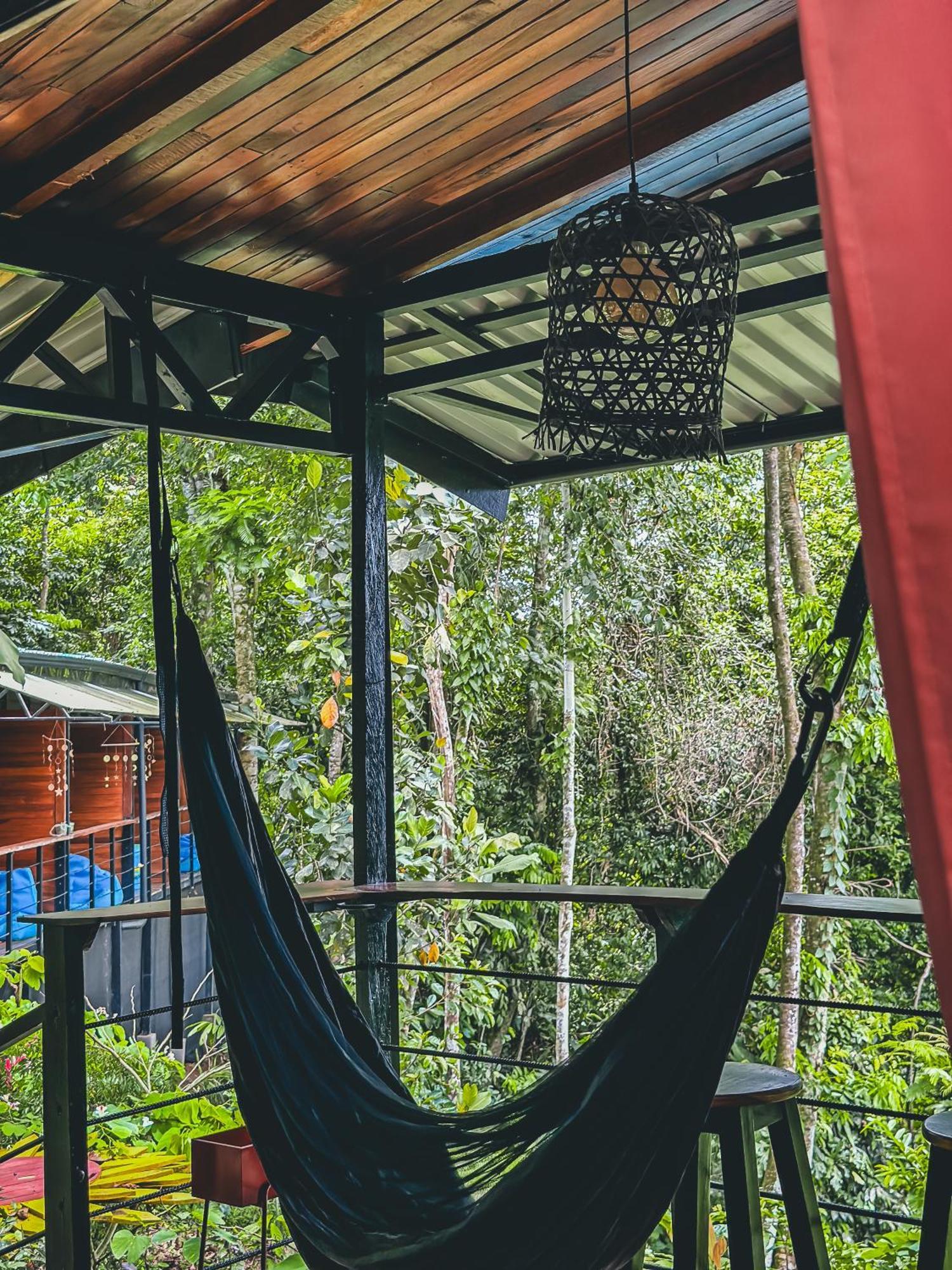 까위따 Selva Madre Eco-Sanctuary 아파트 호텔 외부 사진