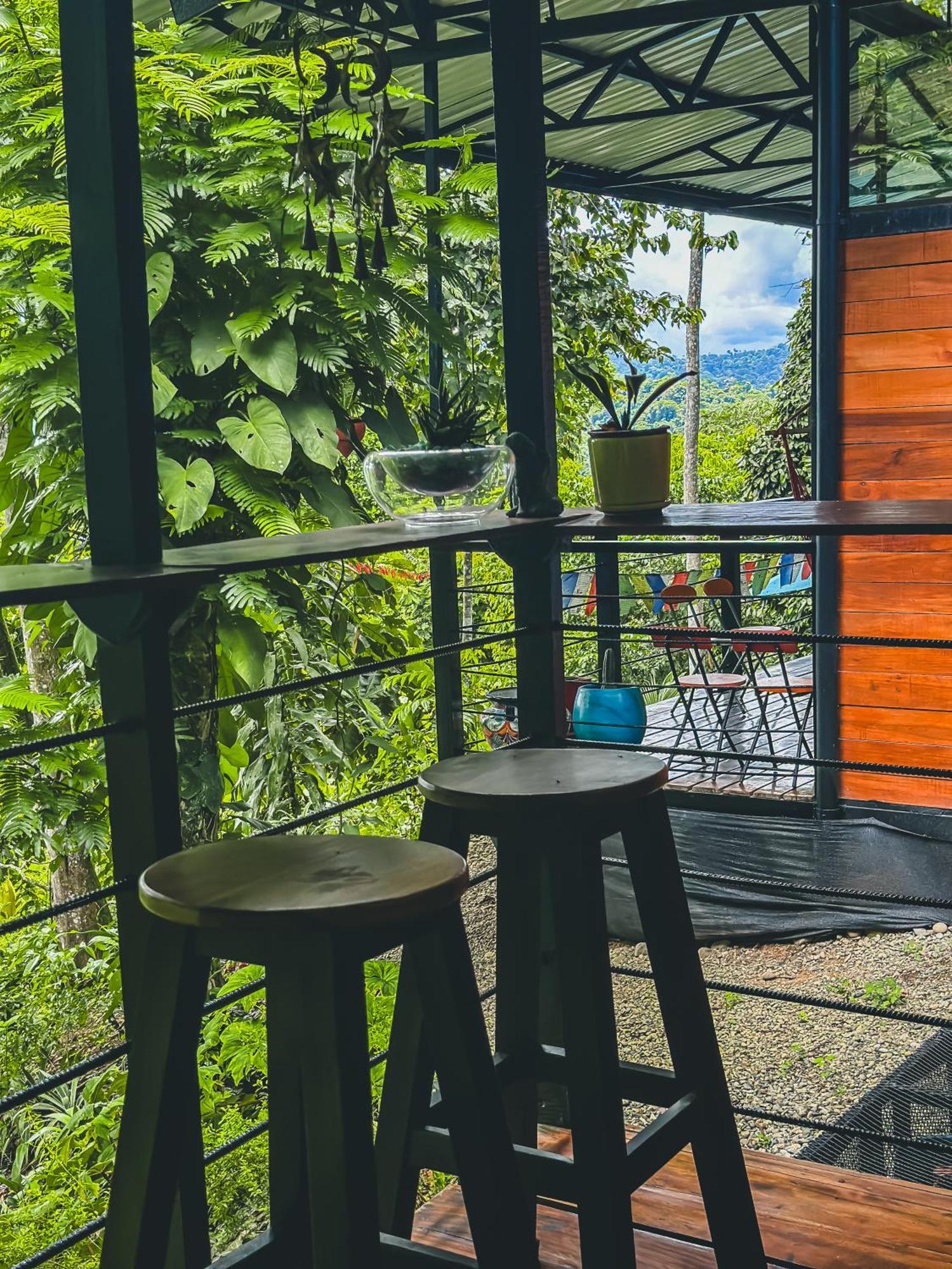 까위따 Selva Madre Eco-Sanctuary 아파트 호텔 외부 사진